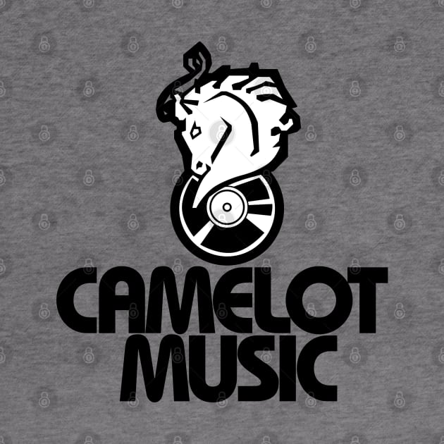 Camelot Music Store by carcinojen